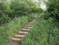/album/brada-18-5-2024/p5181711-jpg/