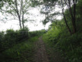 /album/brada-18-5-2024/p5181712-jpg/