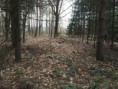 /album/nadslav-29-3-2025/p3297514-jpg/